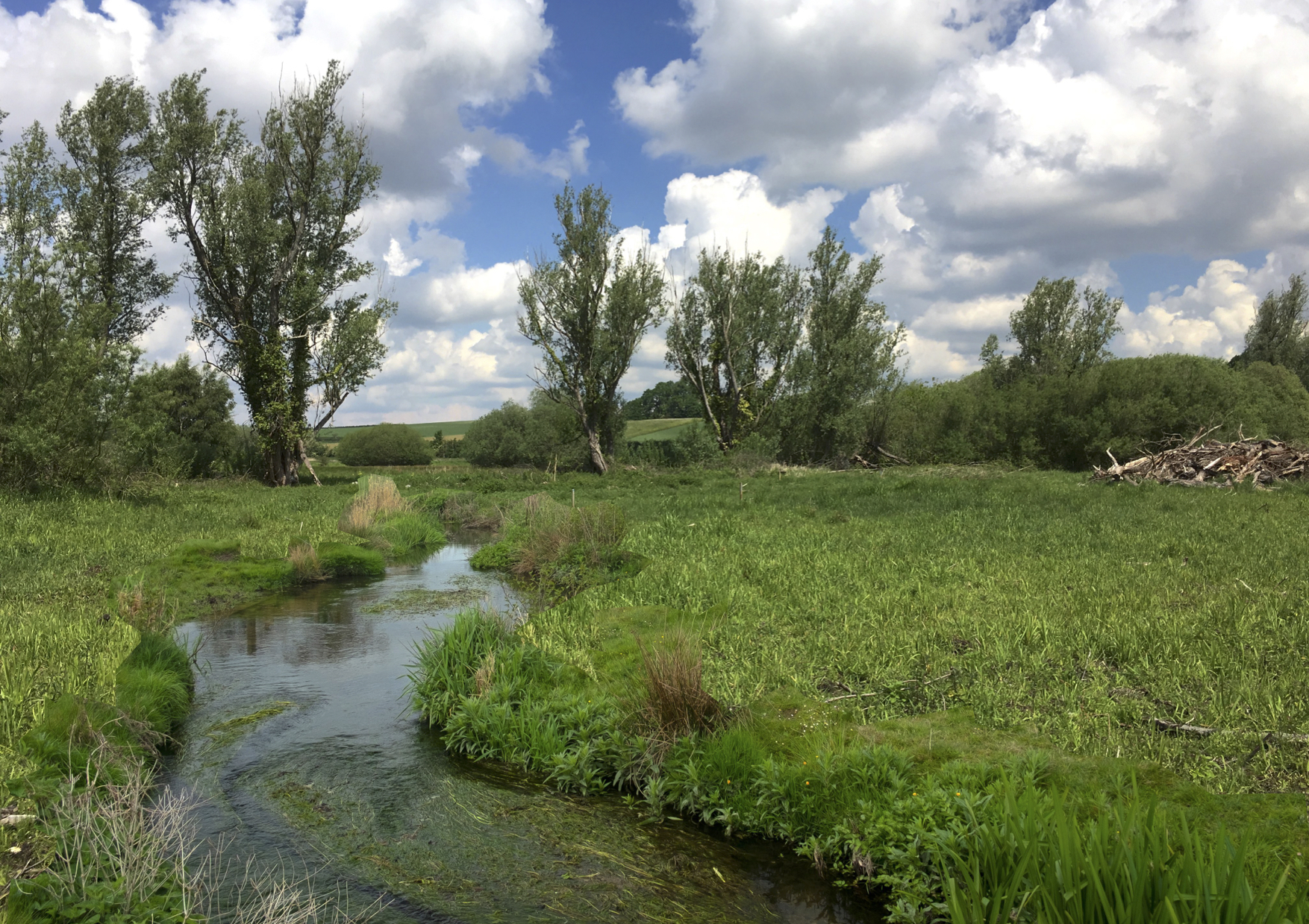 CACRECOMMON-MOCK-UP1