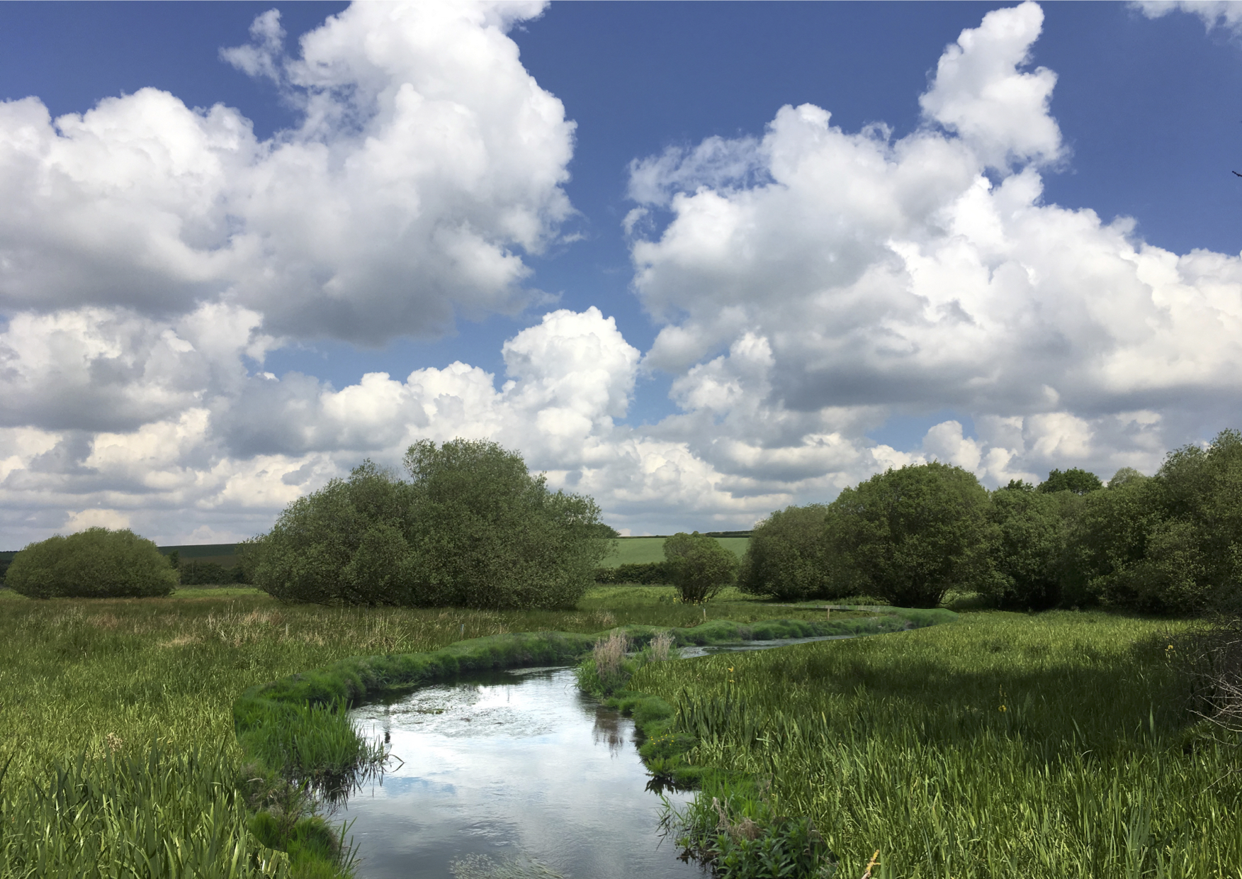 CACRECOMMON-MOCK-UP2