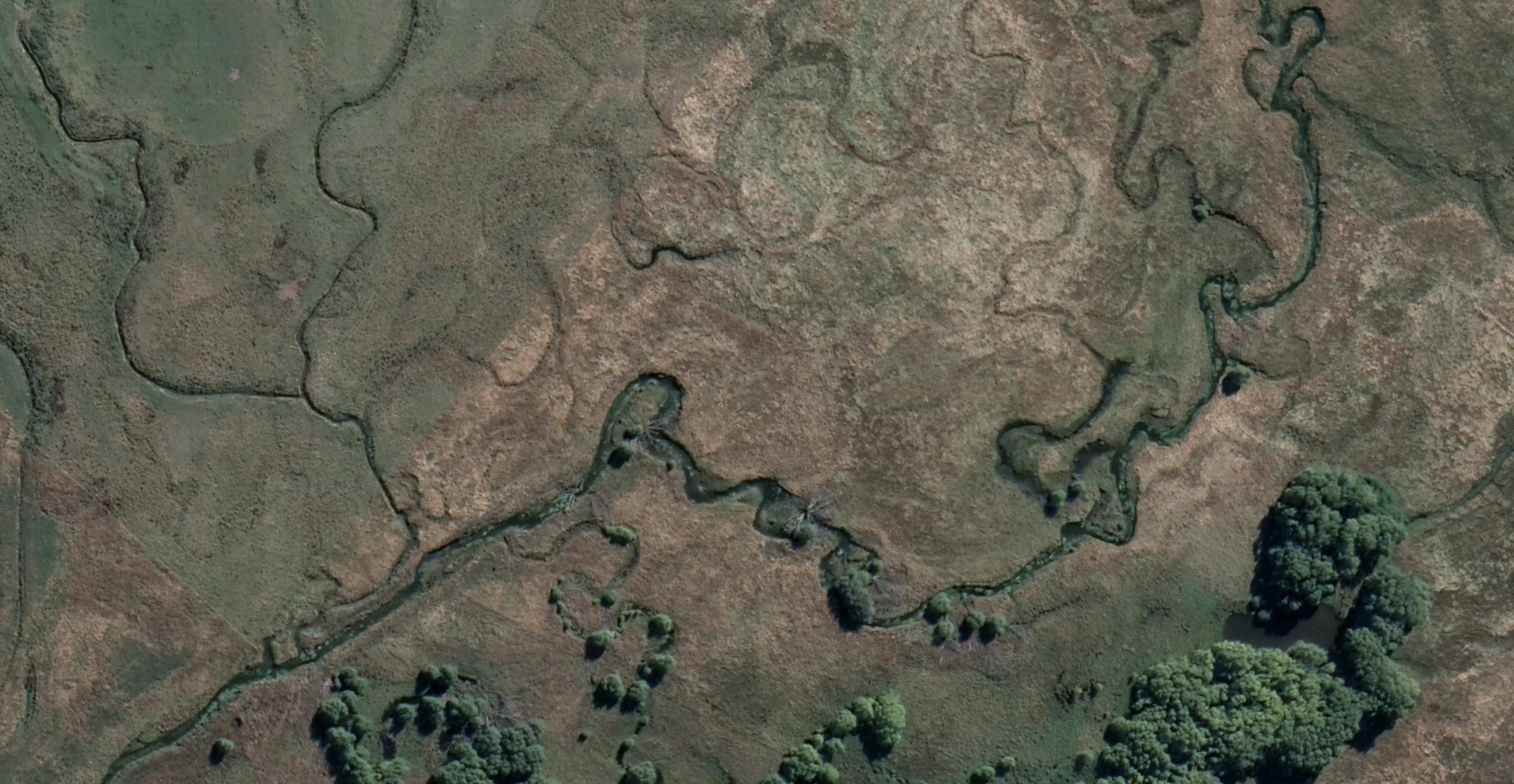 Screenshot 2019-08-26 at 12.48.23