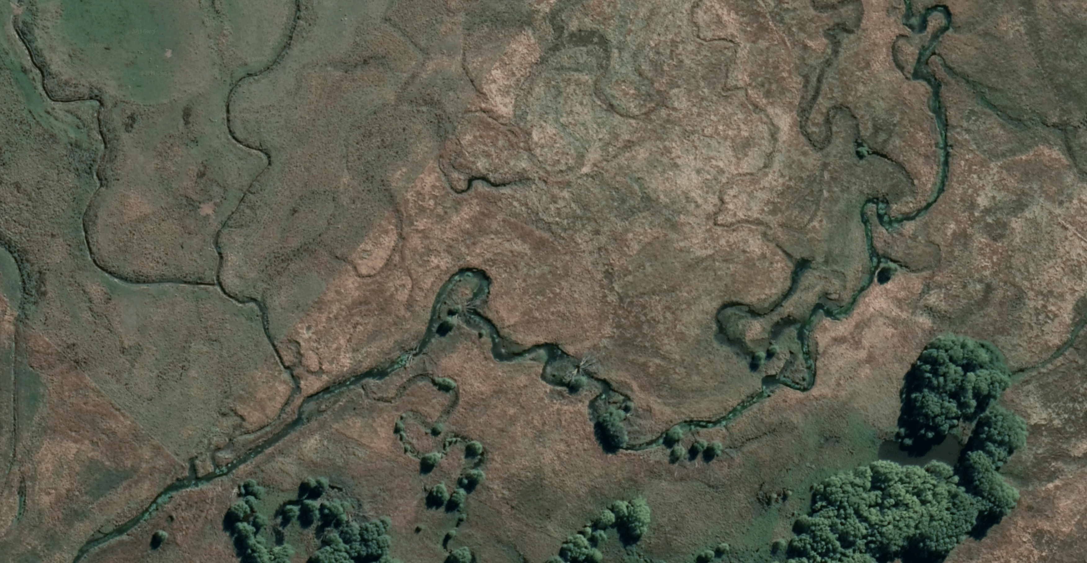 Screenshot 2019-08-26 at 12.48.23