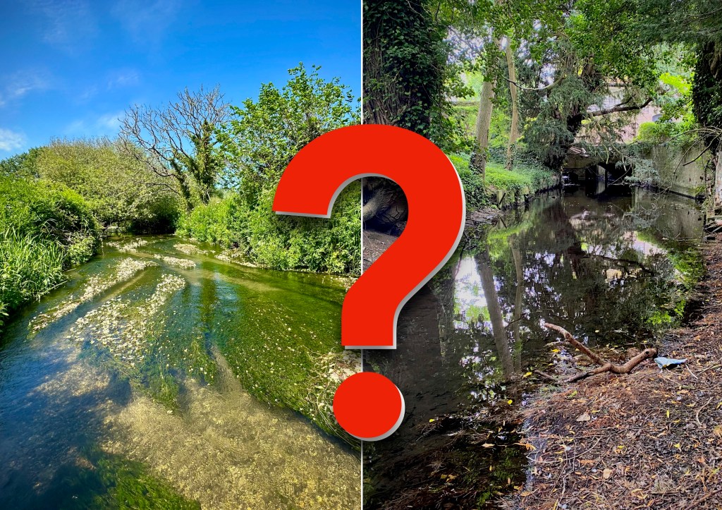 The future for chalk streams? A response from Government