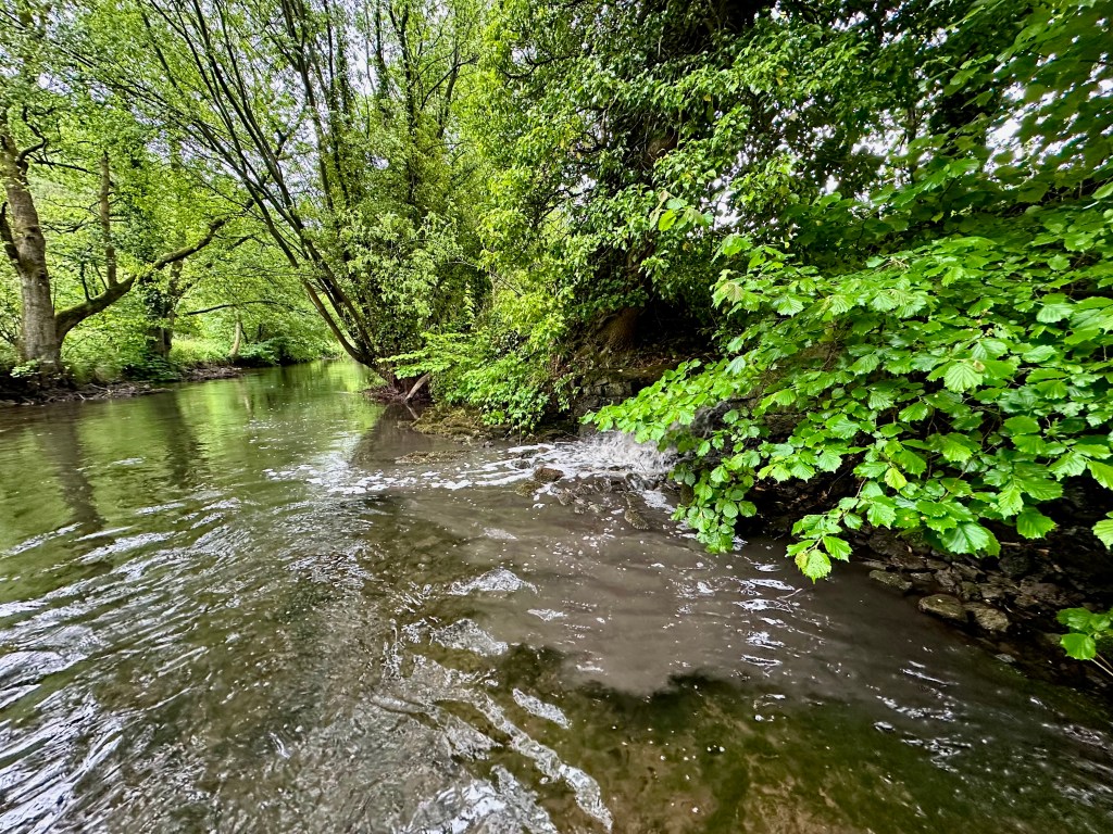 A debate in parliament on “protecting and restoring river habitats”