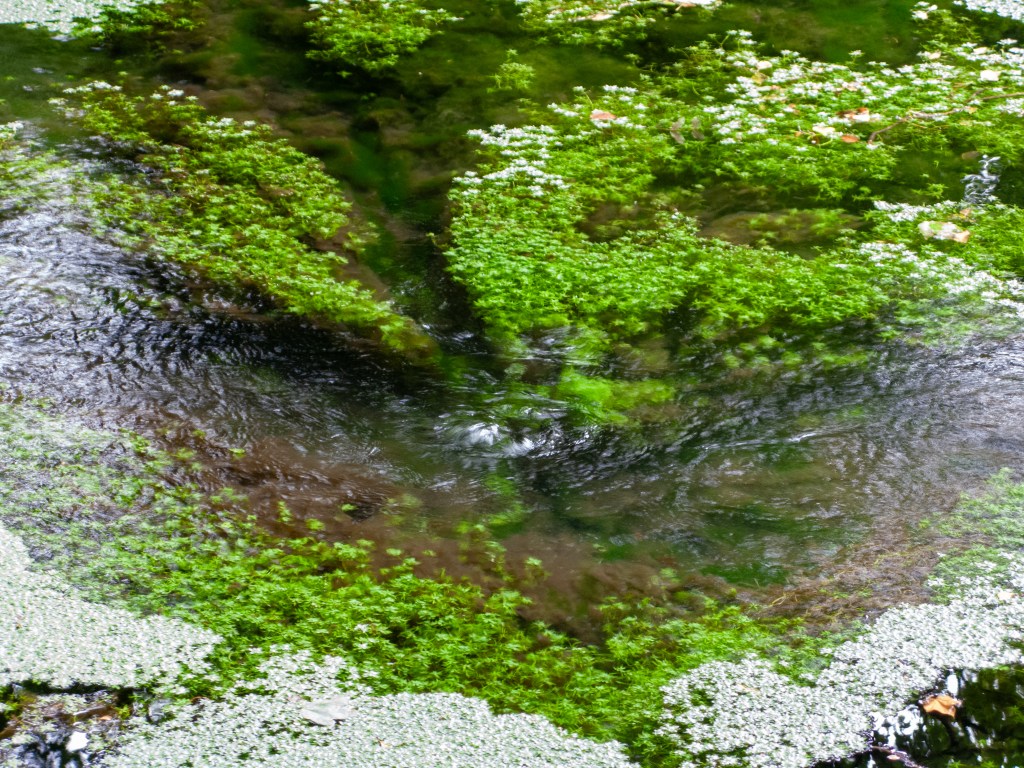 Tarrant update 3 – Known knowns, known unknowns and unknown unknowns.