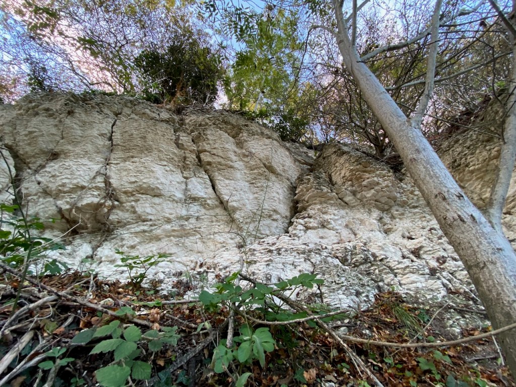 Tarrant Update – In Defence of Simplicity