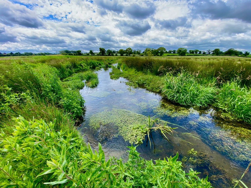 Update on the River Stiffkey